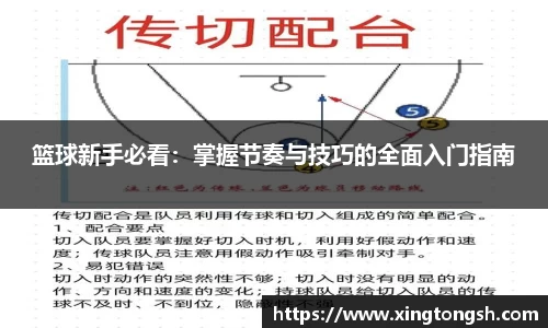 篮球新手必看:掌握节奏与技巧的全面入门指南