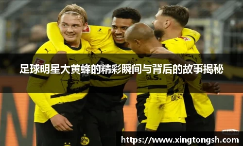 足球明星大黄蜂的精彩瞬间与背后的故事揭秘